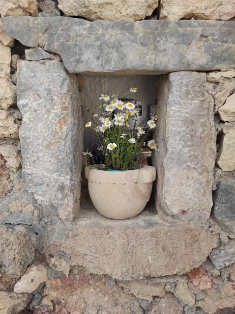 Chania: Private Walking Tour: History, Sights, Food & Senses