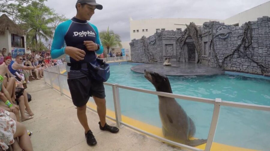 Chankanaab Park Premium Day Pass With Open Bar and Lunch