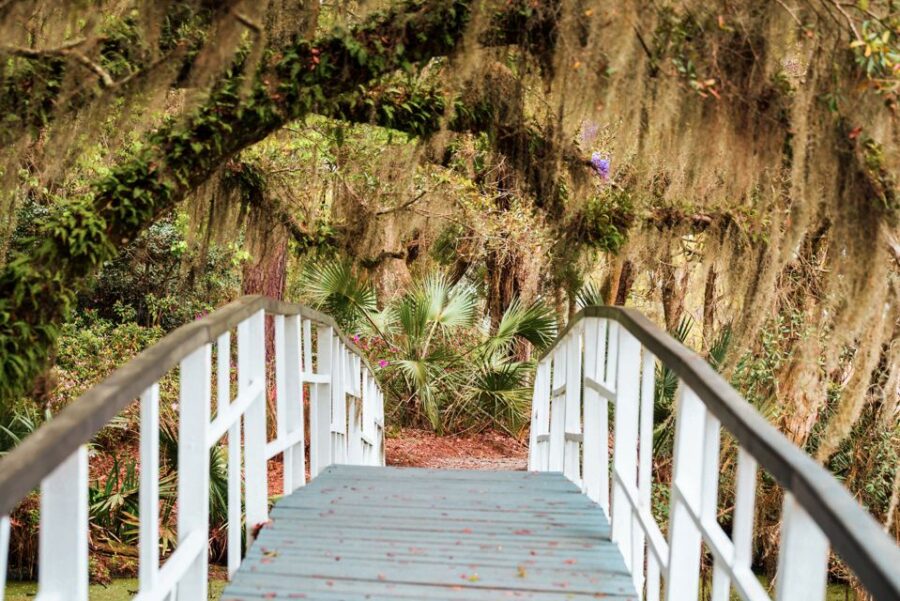 Charleston: Magnolia Plantation Entry & Tour With Transport