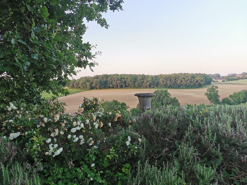 Château Arton: VISIT AND WINE TASTING