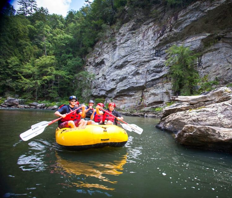 Chattooga: Chattooga River Rafting With Lunch - Overview of the Activity