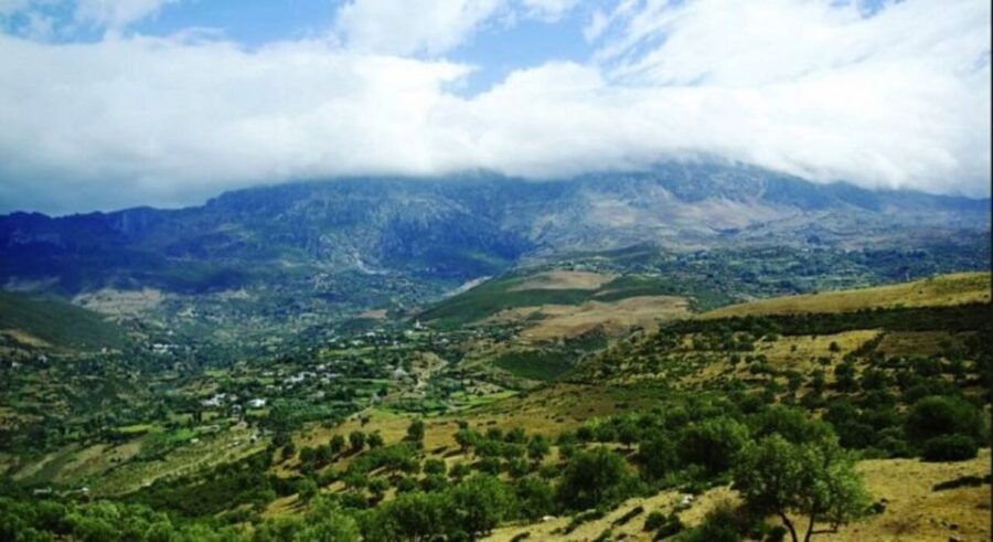 Chefchaouen Day Trip With Small Group