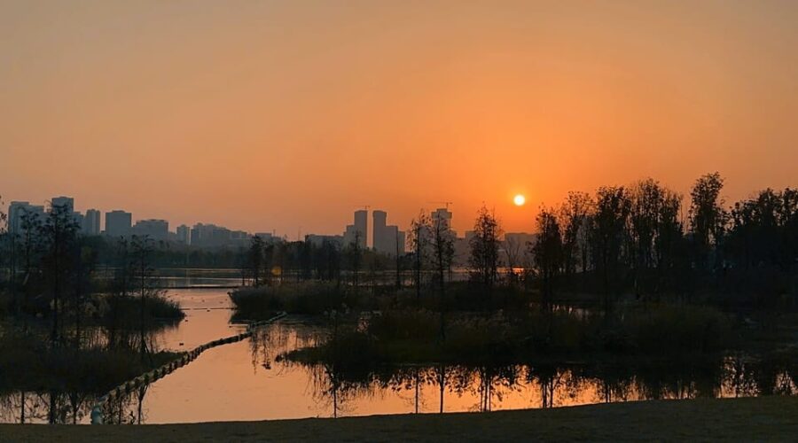 Chengdu Delights:Exploring Local Food and Unique Experiences