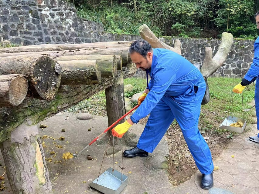 Chengdu: Dujiangyan Panda Base Volunteering Day Trip