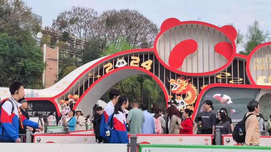 Chengdu: Panda Breeding Base Tickets Booking