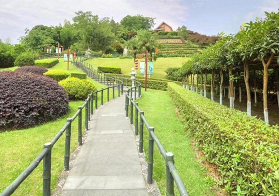 Chengdu Panda & Leshan Buddha One Day Private Tour