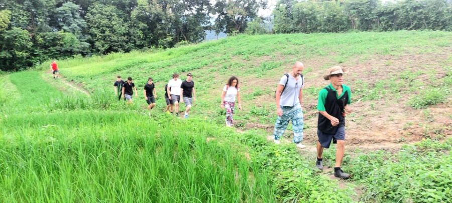 Chiang Mai: 2 Days Trekking & Elephant Care