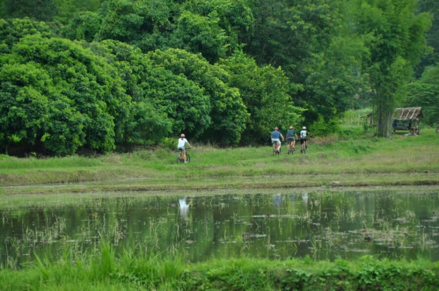 Chiang Mai Fields of Gold Cycling Tour