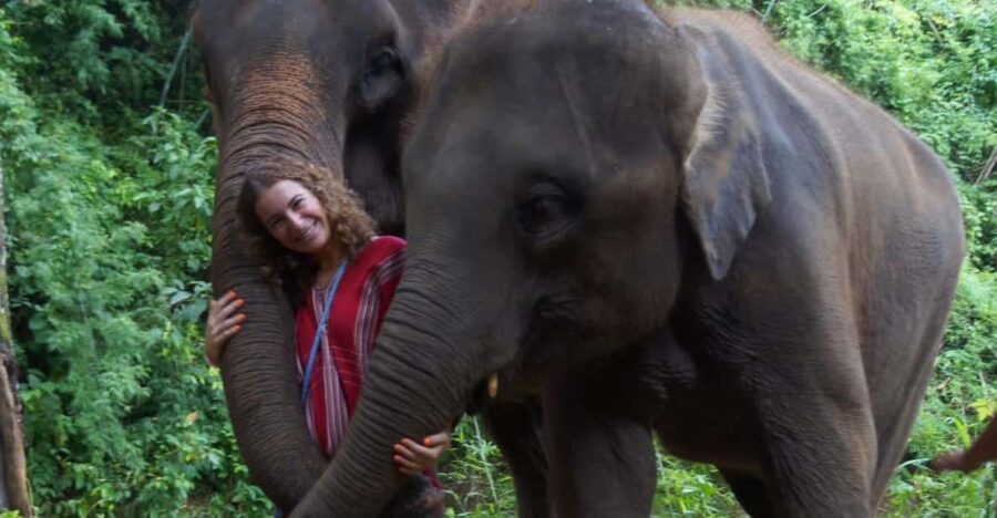 Chiang Mai: Half Day Elephant Eco Park Tour