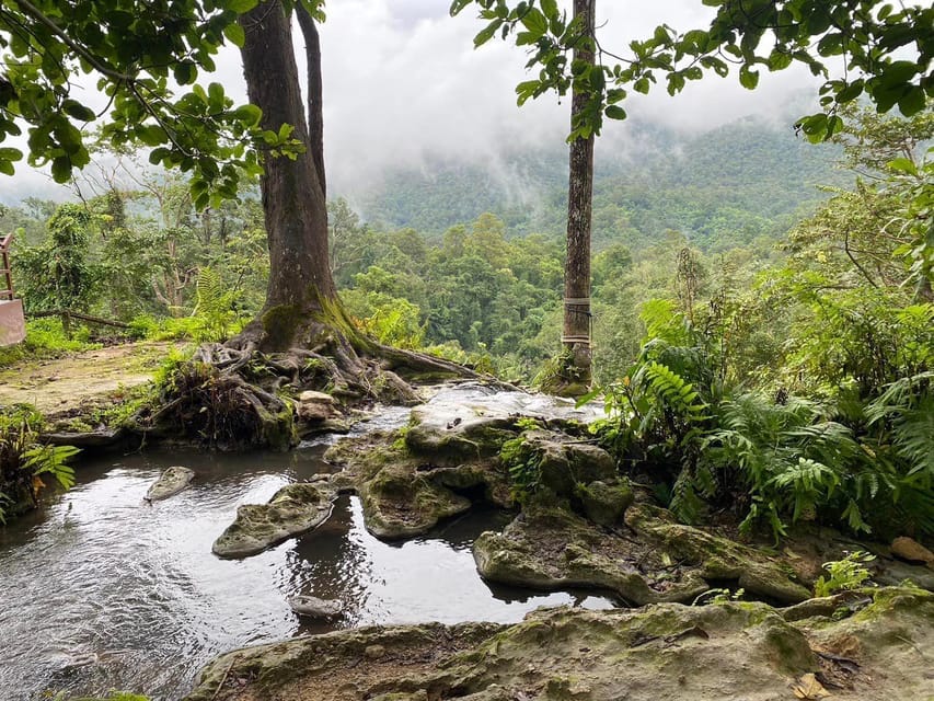Chiang Mai Half Day Tour: Sticky Waterfall & Hotel Transfer
