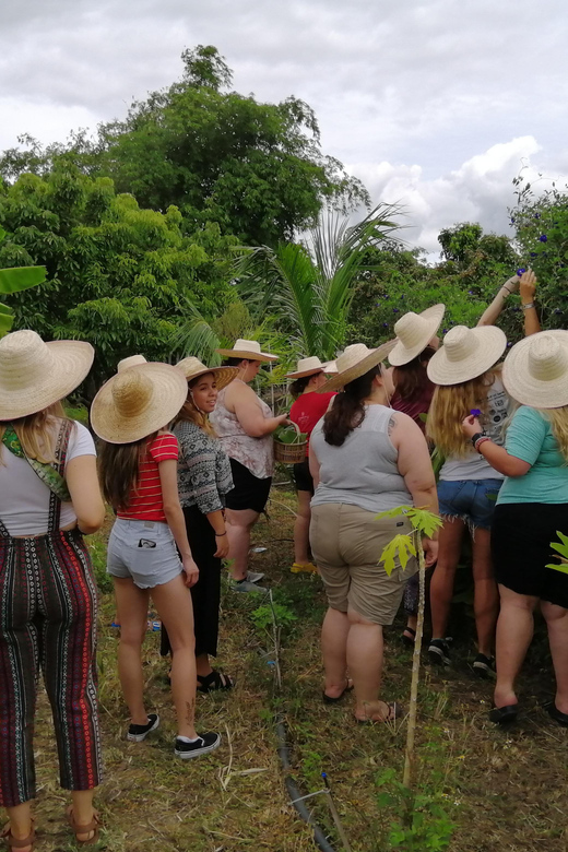 Chiang Mai : Thai Cooking in Farm With a Local Train Trip