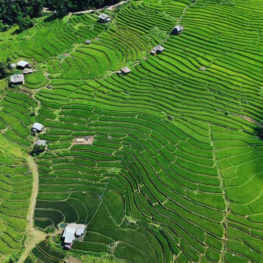Chiangmai: Doi Inthanon Unseen Spot, Rice Terrace & Temple