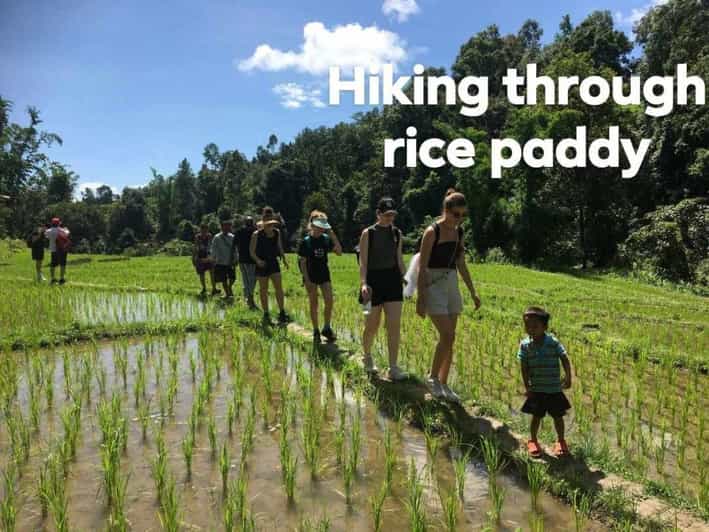 Chiangmai Mountain View Trekking Tour