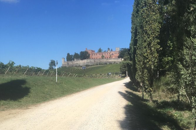 Chianti Classico E-Bike Tour