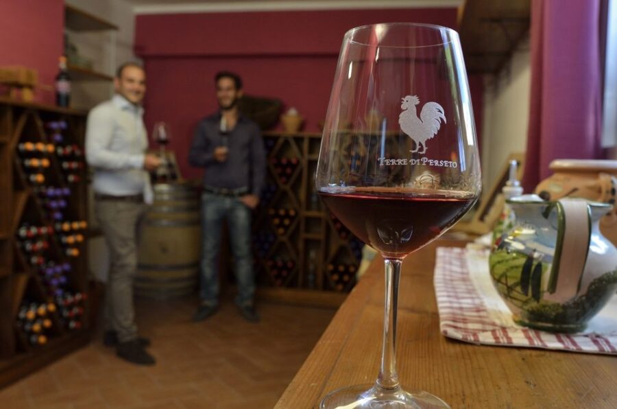 Chianti: Terre Di Perseto Winery Guided Tasting & Tour - Overview of Experience