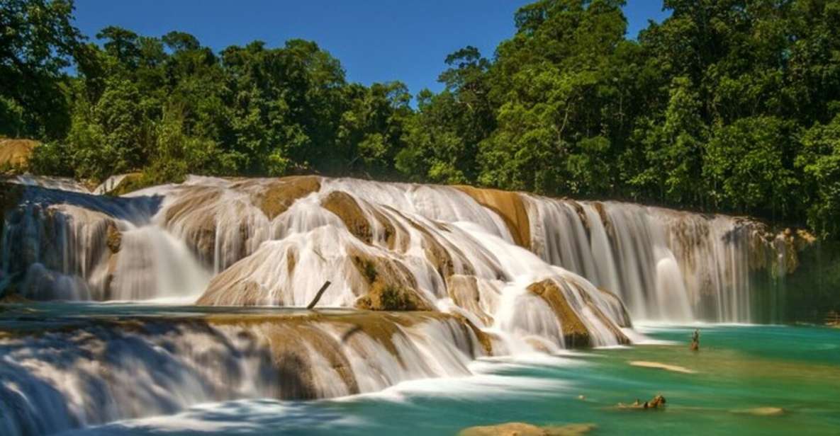 Chiapas: Agua Azul, Misol-Ha & Palenque Tour - Tour Overview and Pricing