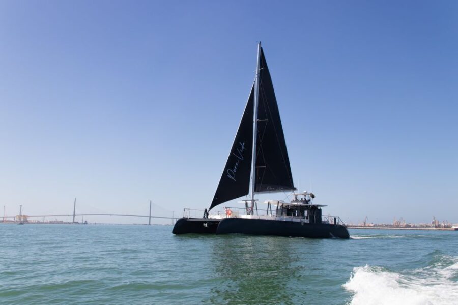 Chiclana De La Frontera: Coast of Sancti Petri Catamaran Tour - Tour Options and Highlights