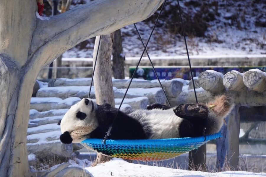 China:Classic China Sightseeing Tour