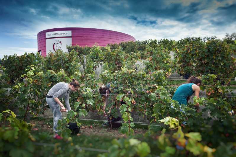 7 Best Wine Tours In Chinon
