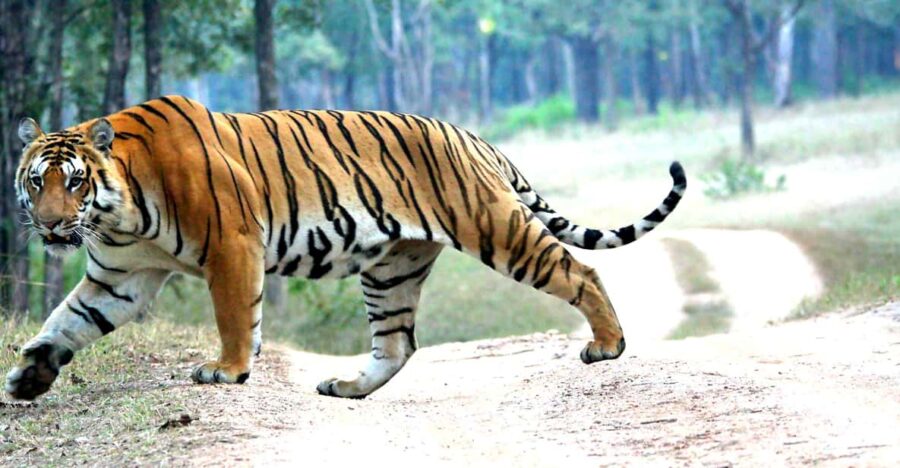 3 Best 2 Day Tours In Pashchimanchal Western Region