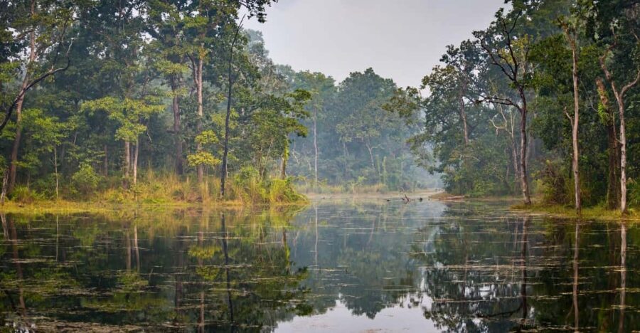 Chitwan: 2-Night 3-Day Highlights Tour With Accommodation