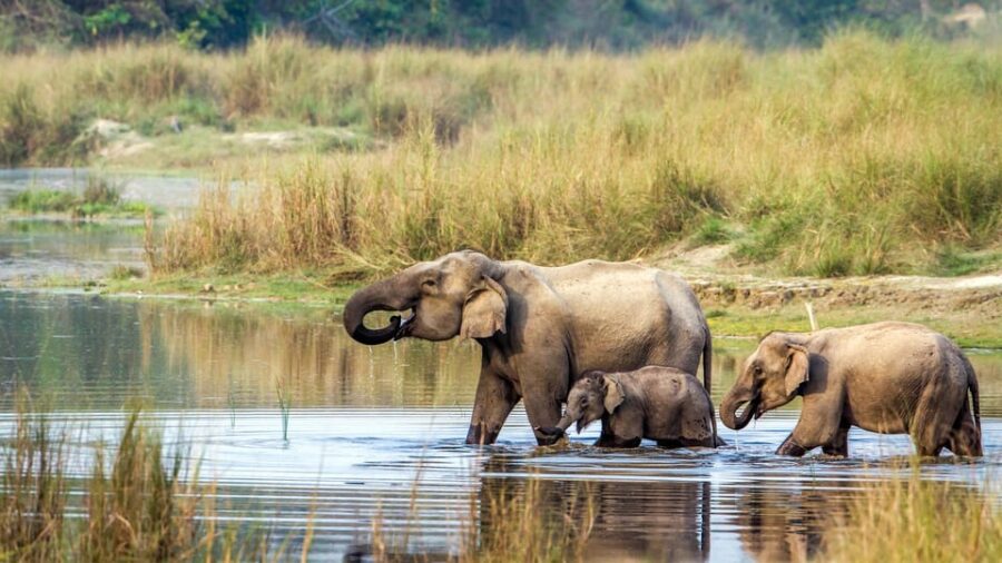 5 Best National Park Tours In Pokhara