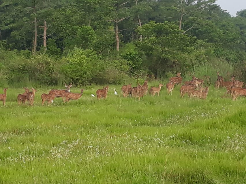 9 Best National Parks Tours In Pashchimanchal Western Region