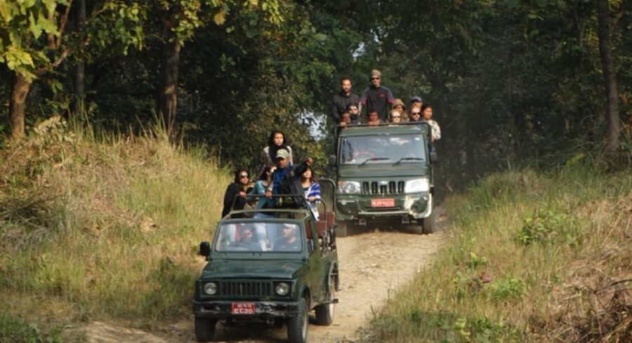 Chitwan Jungle Safari 2 Nights 3 Days From Kathmandu
