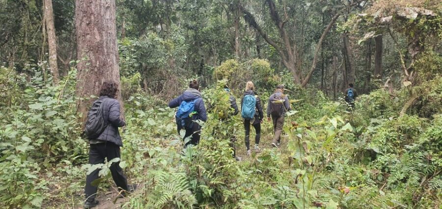 Chitwan Jungle Safari Tour by Private Car at Luxury Resort