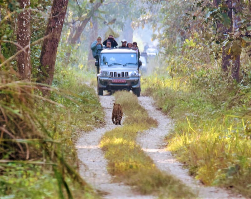 Chitwan National Park: Jeep Safari Tour With Guide