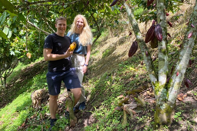 Chocolate Tour Near Medellin - Experience Highlights