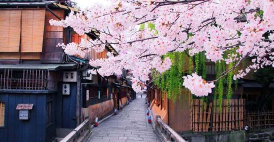 Chubu Airport (Ngo) To/From Kyoto Private Transfer - General Information