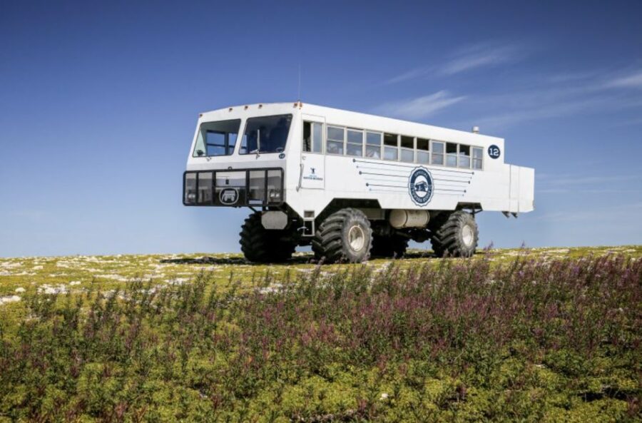 Churchill: Exclusive Tundra Buggy Day Trip