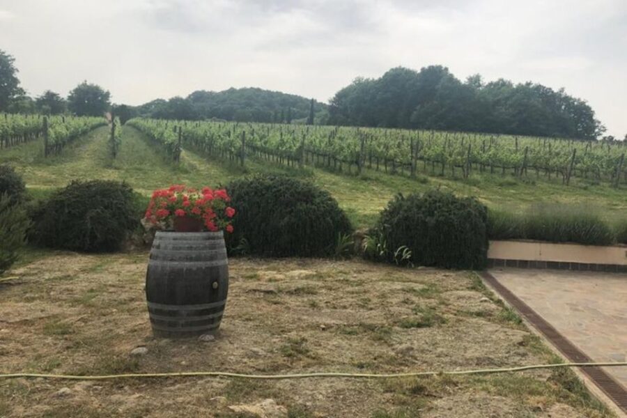 Civita Di Bagnoregio, Orvieto, Montepulciano Private Tour