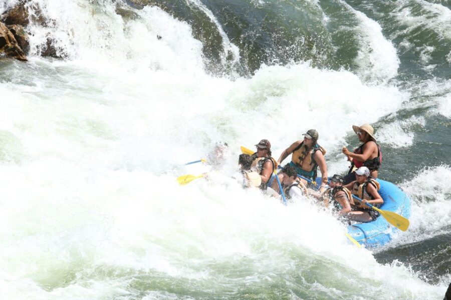 3 Best Full-Day Tours In Montana