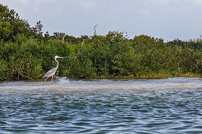 Classic 3-Island Tour on a Shared Boat - Meeting and Pickup