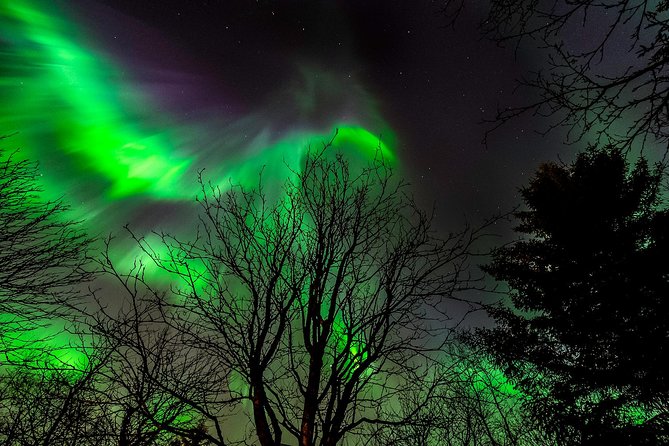 Classic Northern Lights Tour From Reykjavik With Live Guide and Touch-Screen Audio Guide - Tour Overview