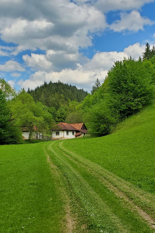 Cluj to Rosia: Day Trip to Ferrata and Pittoresque Country - Overview and Pricing