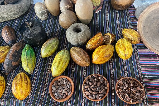 Coffee and Gastronomic Bike Tour in Antigua - Tour Overview