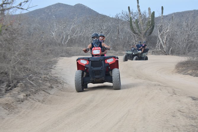 Combo Double Atv + Horses