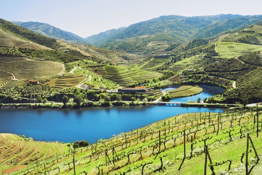 4 Best Lunch Experiences In Douro Valley