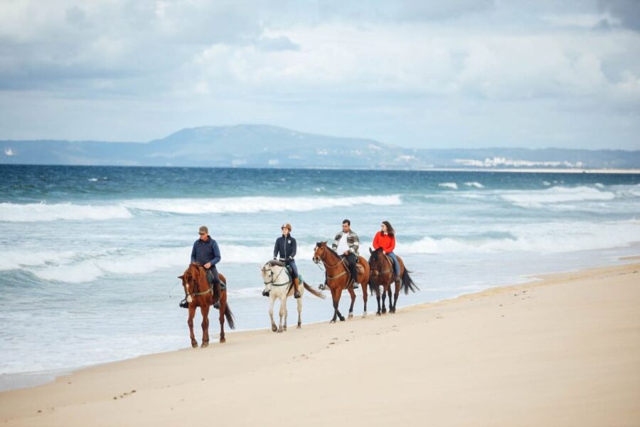 Comporta: Guided Horseback Riding Experience - Activity Overview