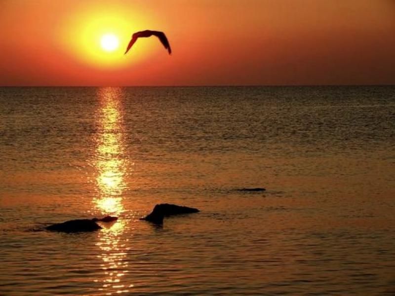 Constanta: Full Day Tour From Bucharest to the Black Sea - Tour Overview