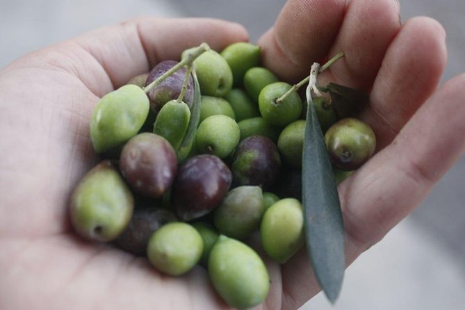 Cook With Locals | Cretan Cooking Class at Archanes (Transfer - Lunch Included)