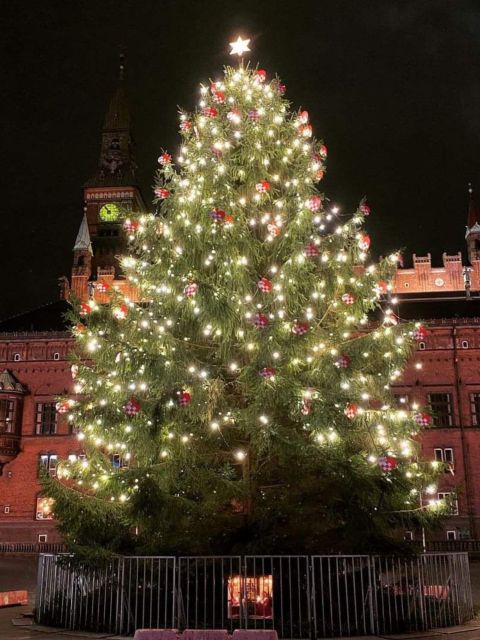 6 Best Christmas Experiences In Copenhagen