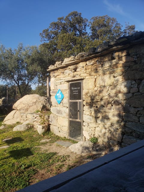 Corsica: Organic Wine Tasting & Local Lunch - Activity Overview