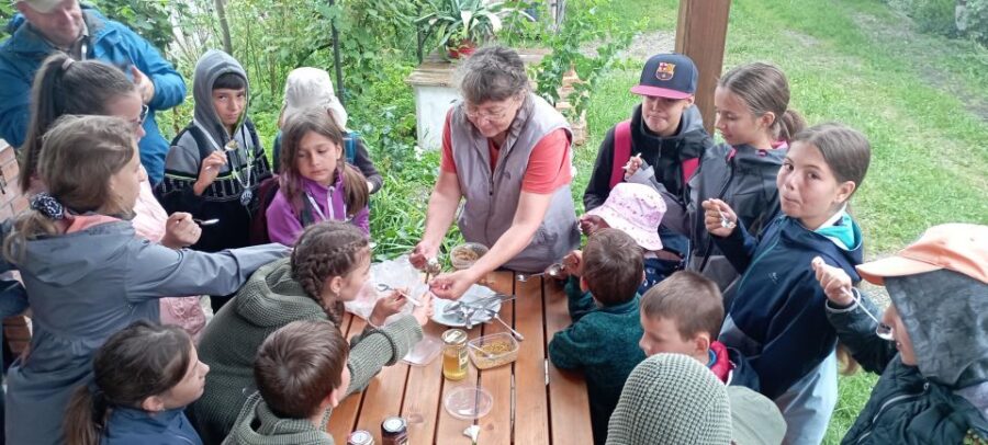 Corund, Hr: Visit to Bee-Keeper, Tasting & Hive-Opening