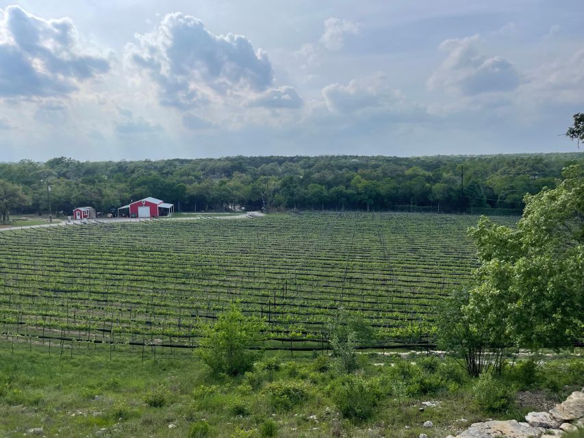 12 Best Wine Tours In Fredericksburg