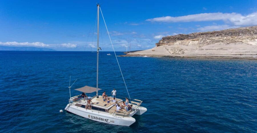 4 Best Cruises And Boat Tours In Costa Adeje