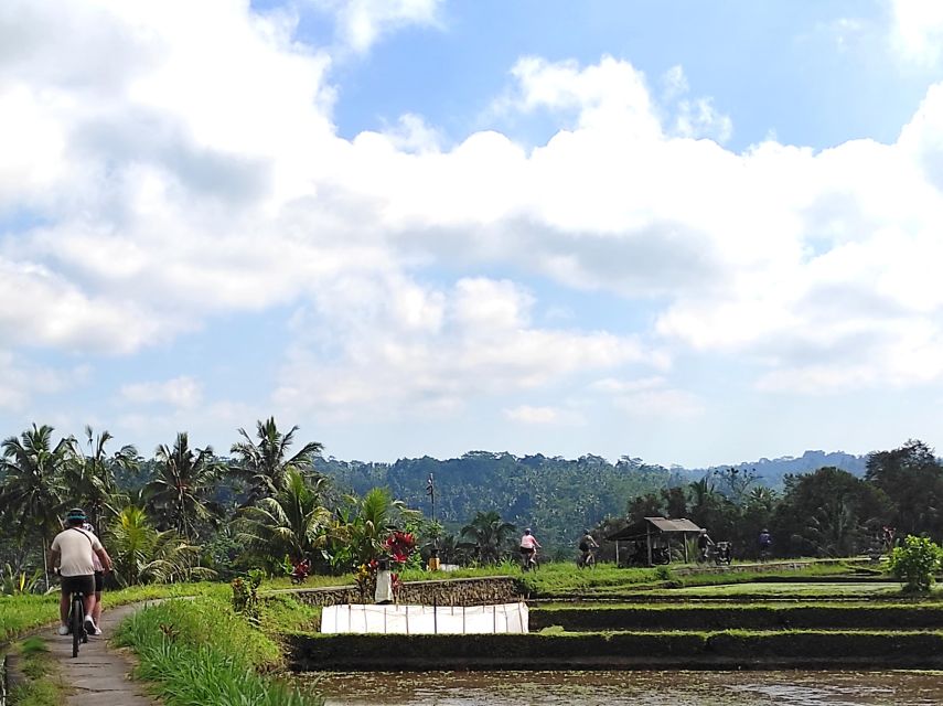 Country Side Electric Bike Tour - Overview